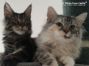 Im neuen Heim mit Freundin Nubia